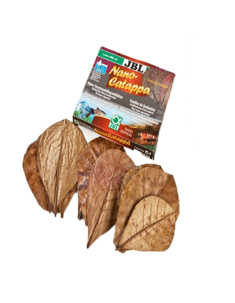 JBL NanoCatappa 725199